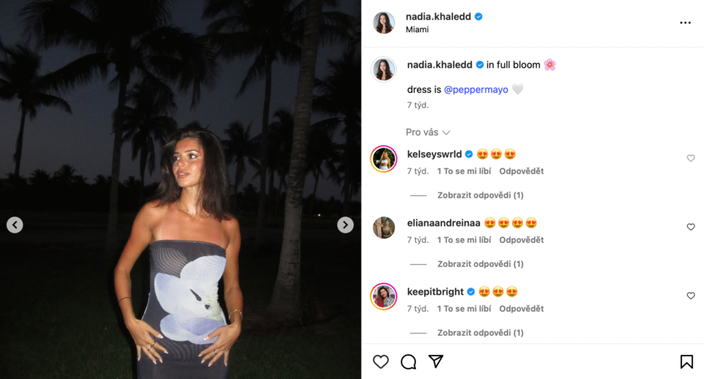 Kibbe Influencers Inspiration