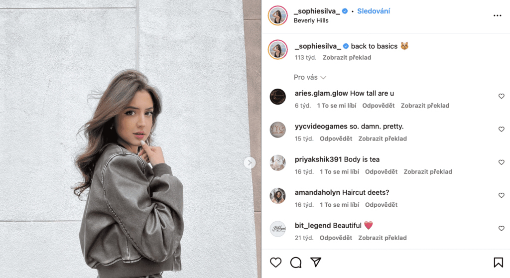 Kibbe Influencers Inspiration